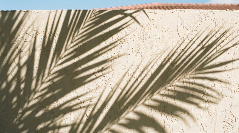 Palm frond shadows cast by strong Miami sunlight on a warm white stucco wall